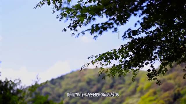 华升股份3涨停